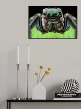 hypnosis Poster och Canvastavla