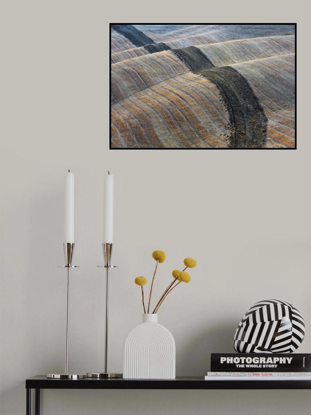Lines Poster och Canvastavla