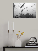 World of birds Poster och Canvastavla
