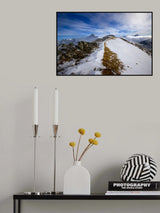 on the top Poster och Canvastavla
