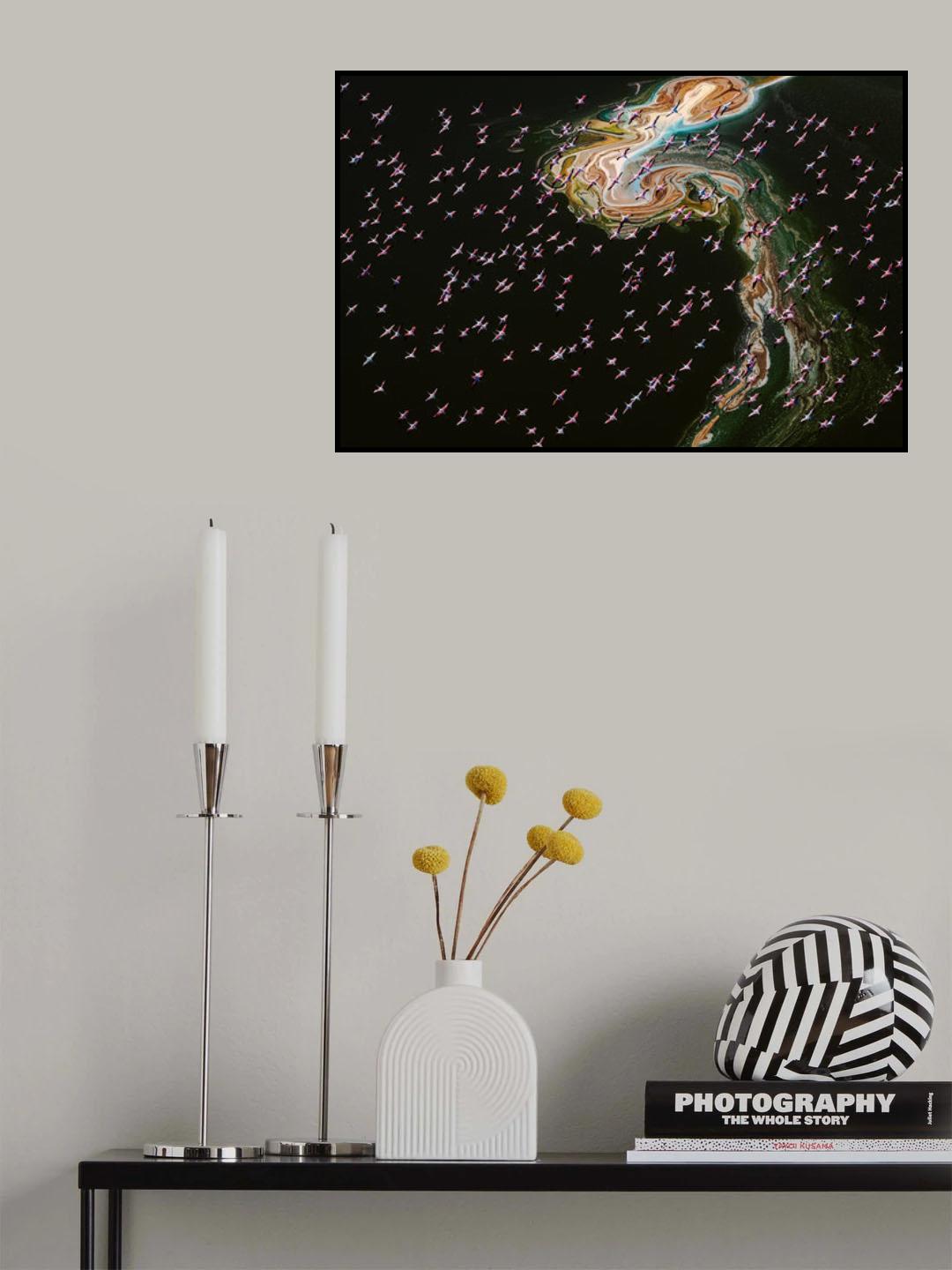 Hundreds of Flamingos Poster och Canvastavla