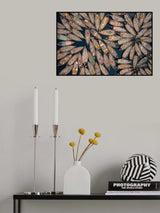 Flower of boats Poster och Canvastavla
