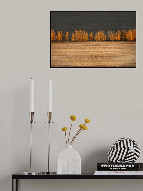 Autumn colors Poster och Canvastavla