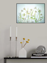 White Spring Poster och Canvastavla