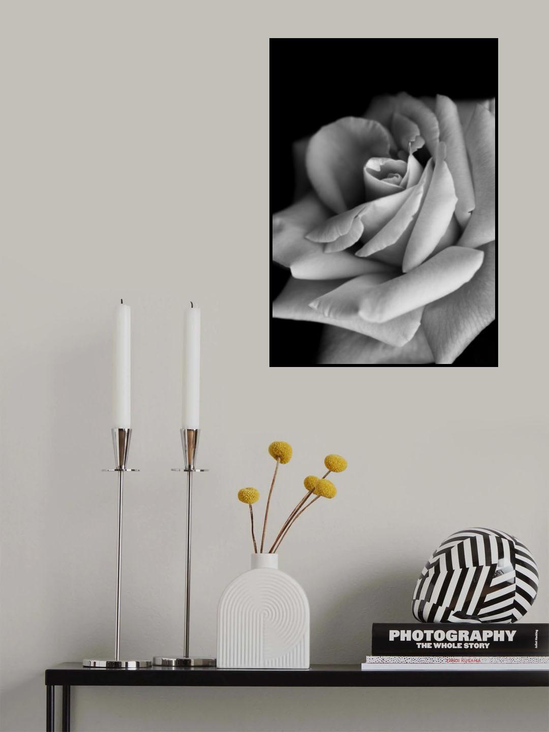 Roses Poster och Canvastavla