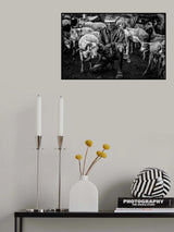 Poster och Canvastavla