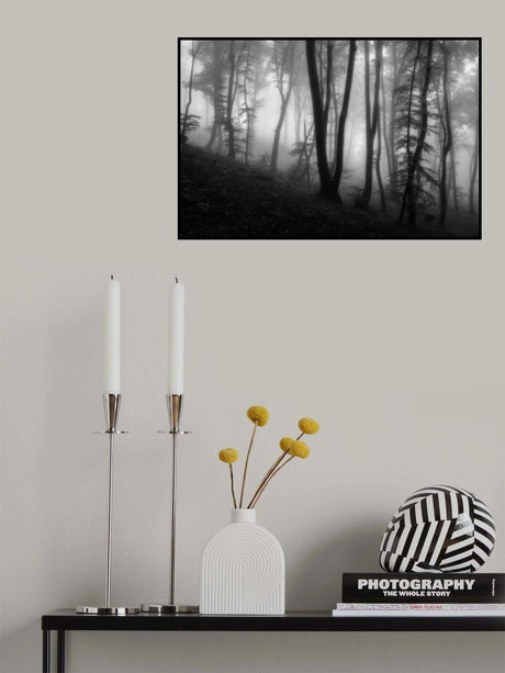 Fragile Dreams Poster och Canvastavla