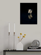 Egret Poster och Canvastavla