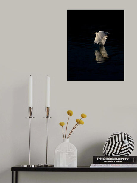 Egret Poster och Canvastavla