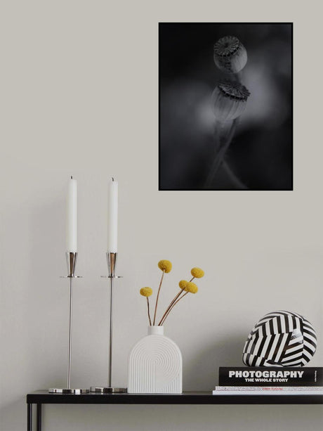 Old poppies Poster och Canvastavla