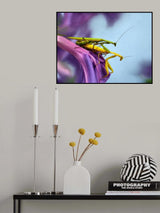 The mating Poster och Canvastavla