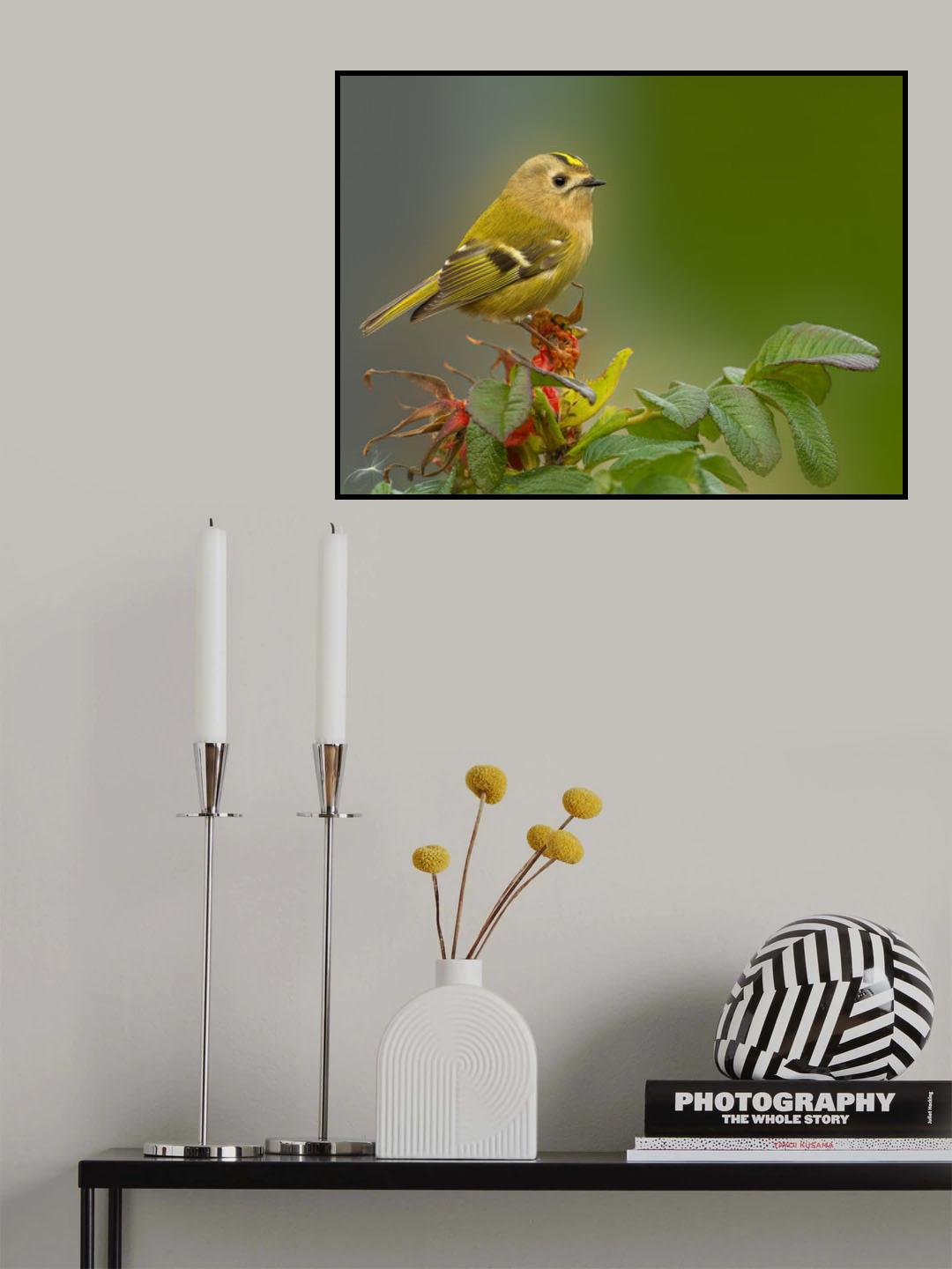 always alert Poster och Canvastavla