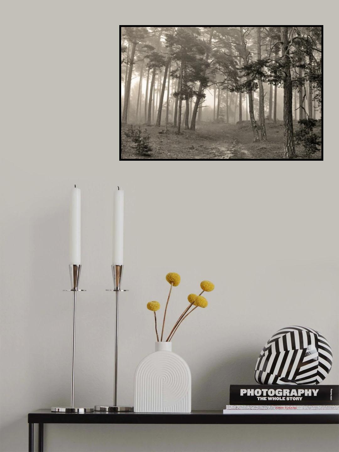 Mood. Poster och Canvastavla