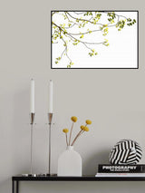 Green Tree Foliage Photo I Poster och Canvastavla