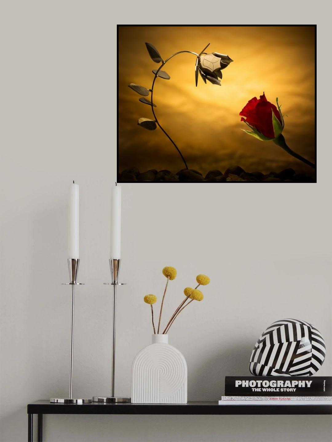 Opposites attract Poster och Canvastavla