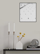 Poster och Canvastavla