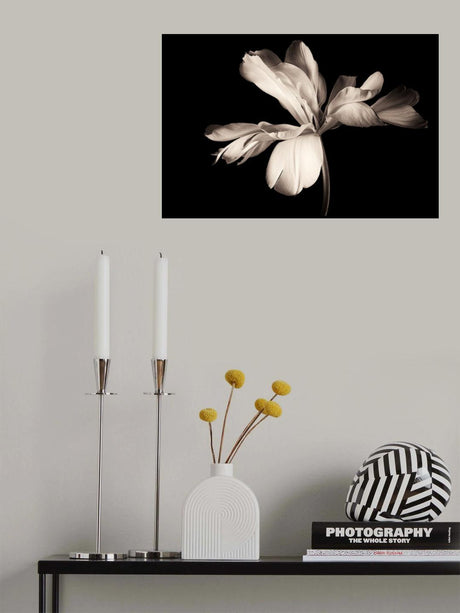 Poster och Canvastavla