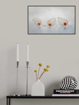 Chinese lantern Poster och Canvastavla