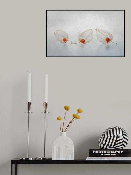 Chinese lantern Poster och Canvastavla