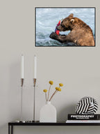 Sashimi for The bear, Poster och Canvastavla
