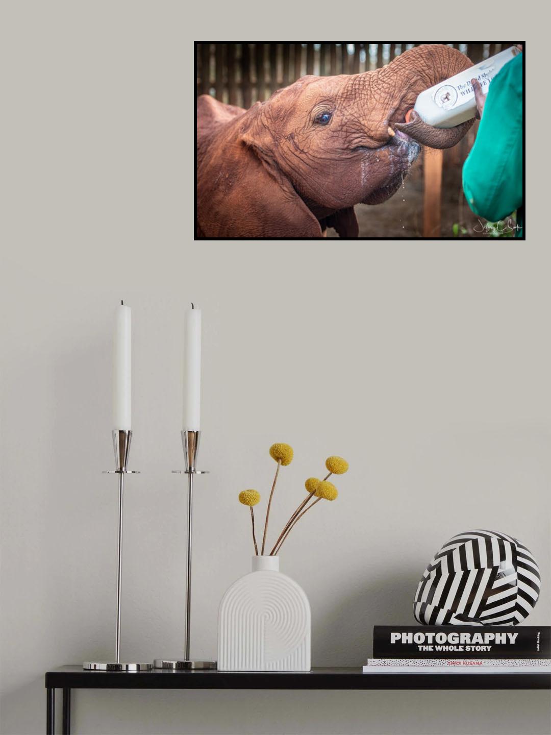 Feeding time Poster och Canvastavla