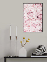 Pink Roses No 02 Poster och Canvastavla