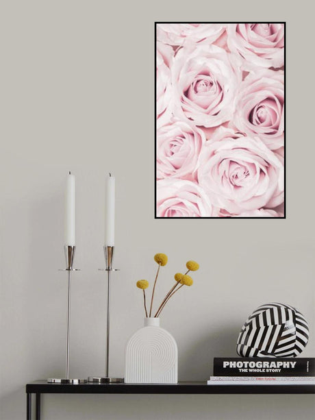 Pink Roses No 02 Poster och Canvastavla