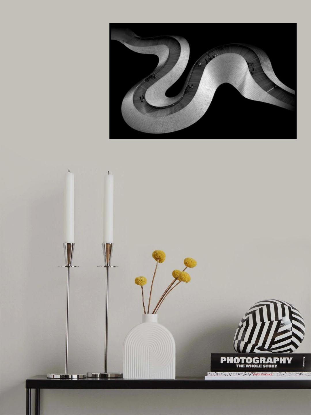 Snake Poster och Canvastavla