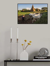 Hard work Poster och Canvastavla