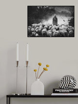 Shepherd Poster och Canvastavla