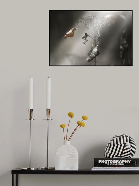 Withe hydrangea Poster och Canvastavla