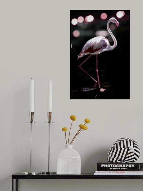 Dancing Flamingo Poster och Canvastavla