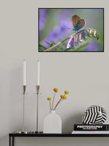 Micro world... Poster och Canvastavla