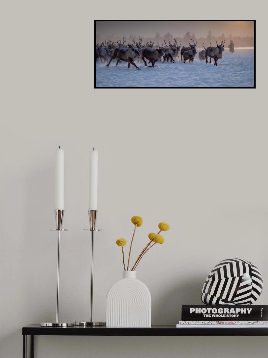 The herd Poster och Canvastavla