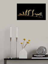 Birth Poster och Canvastavla