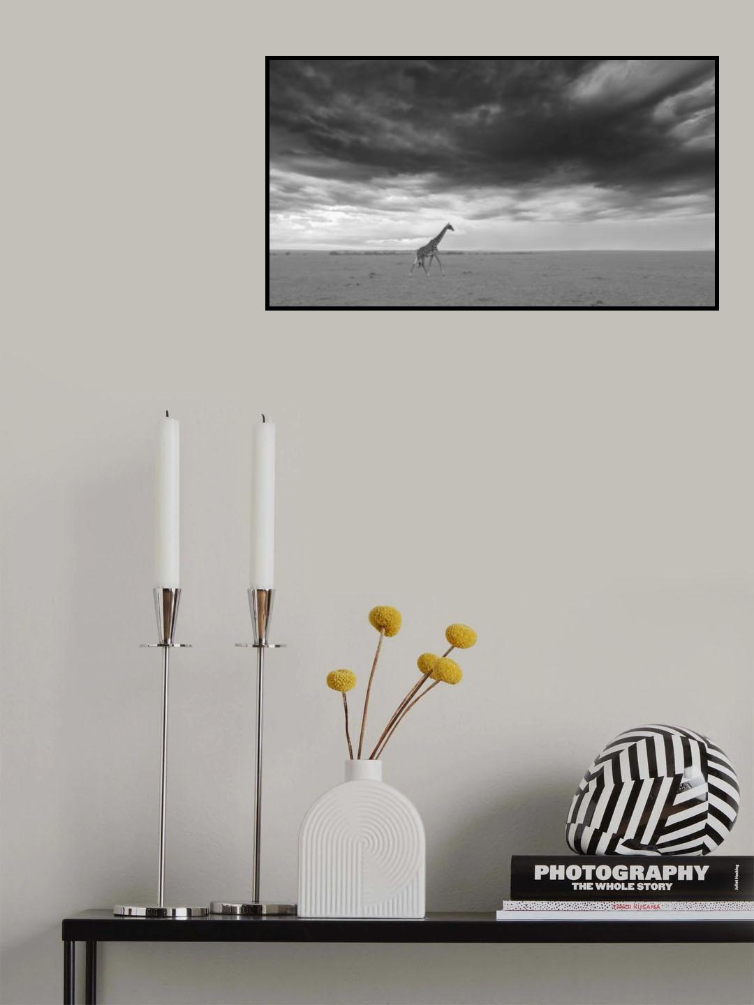 Massai Mara Poster och Canvastavla