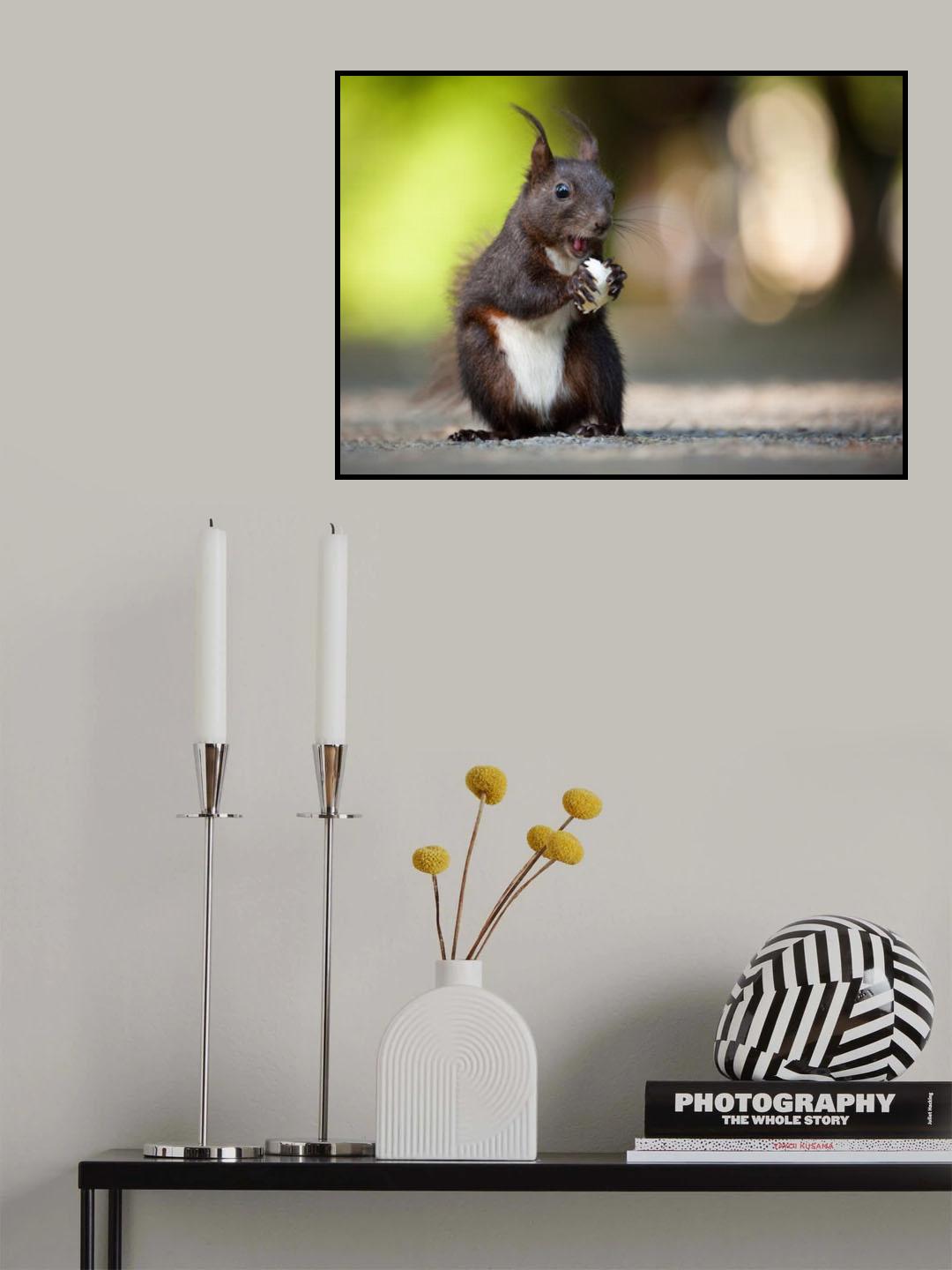 Squirrel Poster och Canvastavla