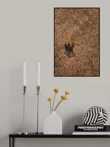 Follow like a shadow Poster och Canvastavla