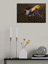 POTTERY Poster och Canvastavla