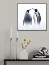 we are King penguin Poster och Canvastavla