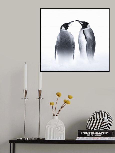 we are King penguin Poster och Canvastavla