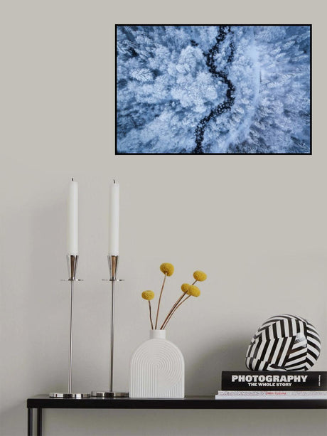 A Freezing Cold Beauty Poster och Canvastavla