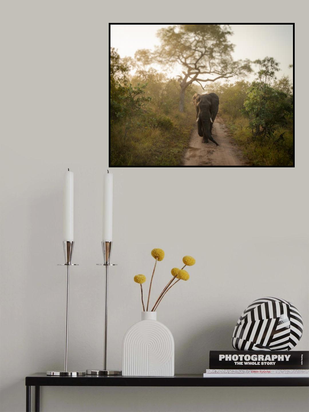MORNING WALK Poster och Canvastavla