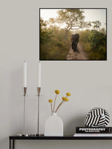 MORNING WALK Poster och Canvastavla