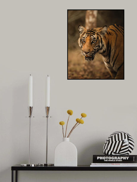 The Tiger Poster och Canvastavla