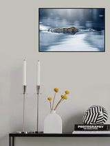 Crocodile - The Eye Poster och Canvastavla