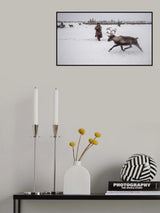 Jigori hunts reindeer II Poster och Canvastavla