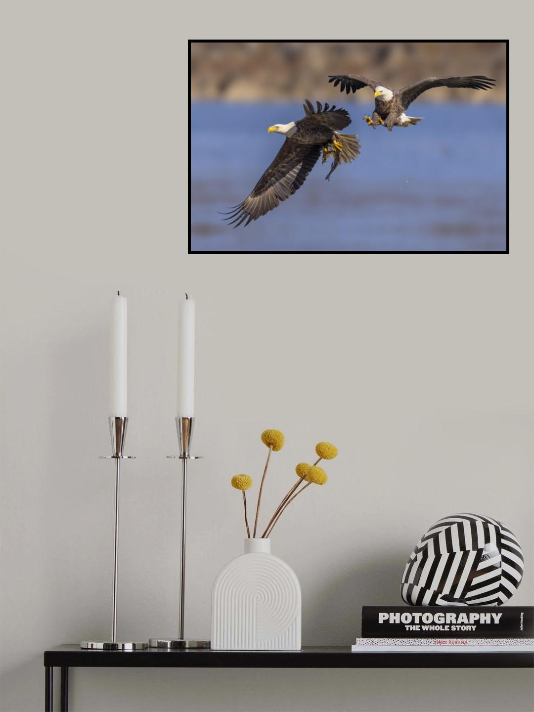 Stealth Poster och Canvastavla