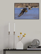 Stealth Poster och Canvastavla