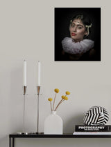 AN ARISTOCRATLADY Poster och Canvastavla
